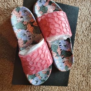 COACH Orchid/Orchid Slides